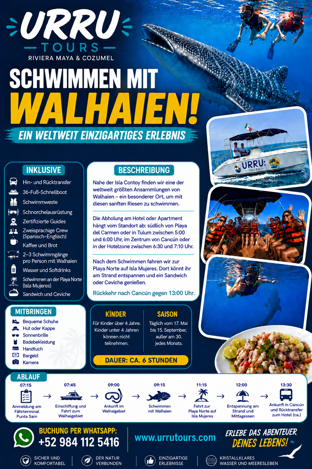 Walhai-Tour ab Riviera Maya