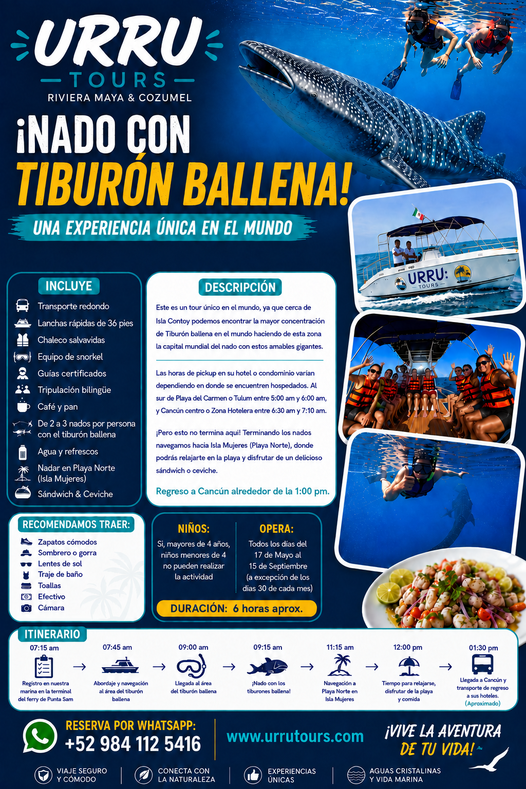 Tiburón Ballena