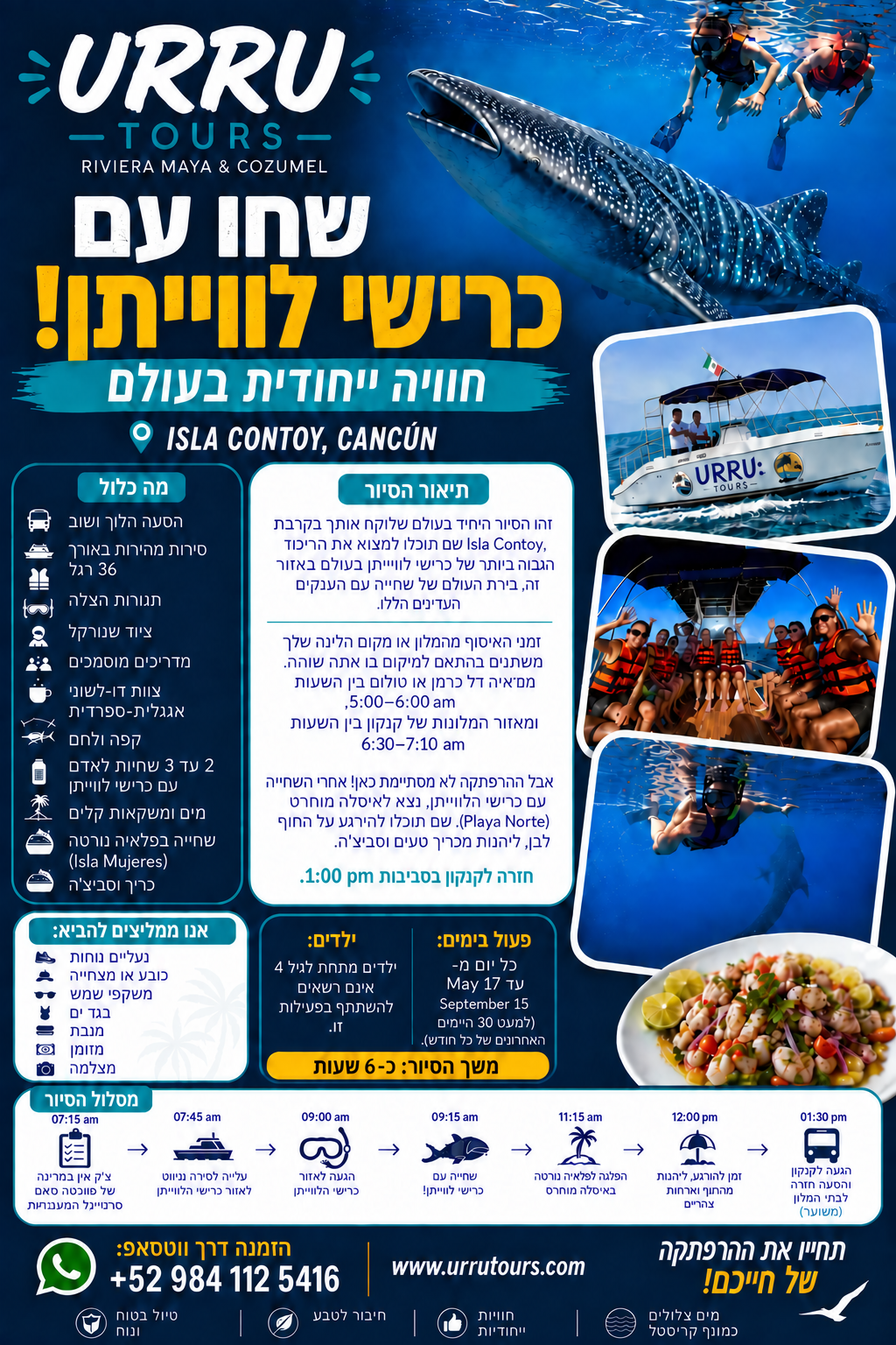 סיור כריש לווייתני בריביירה מאיה עם שנורקלינג ופלאיה נורטה