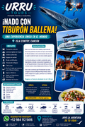Tiburón Ballena