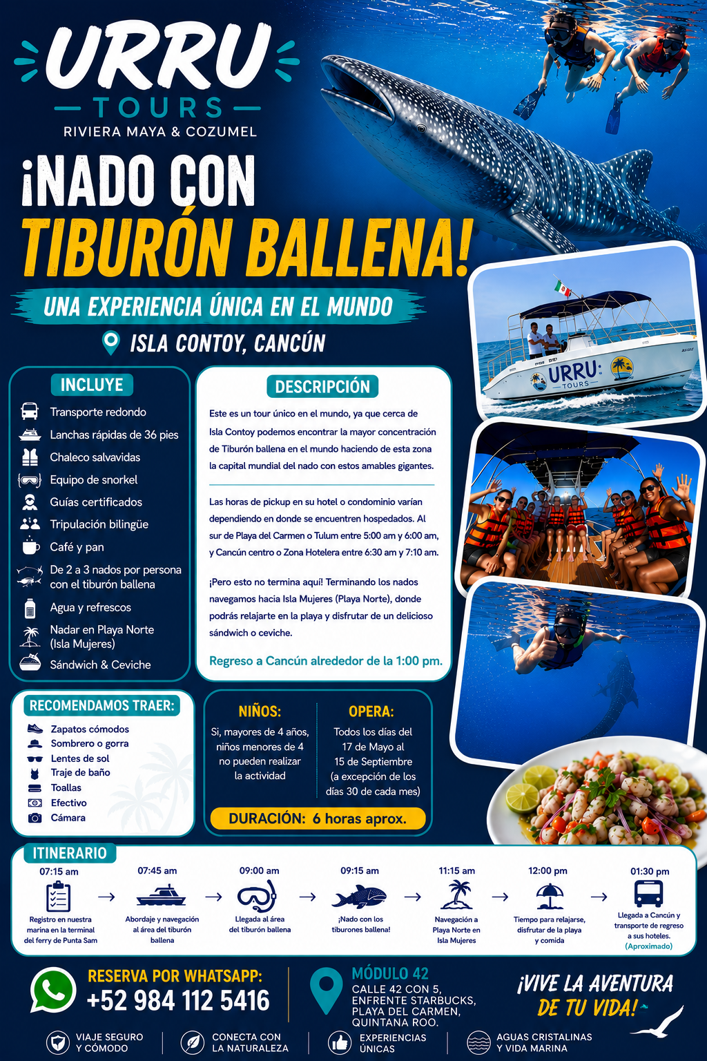 Tiburón Ballena