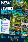 Tour di 3 cenote da Playa del Carmen · Trasporto privato