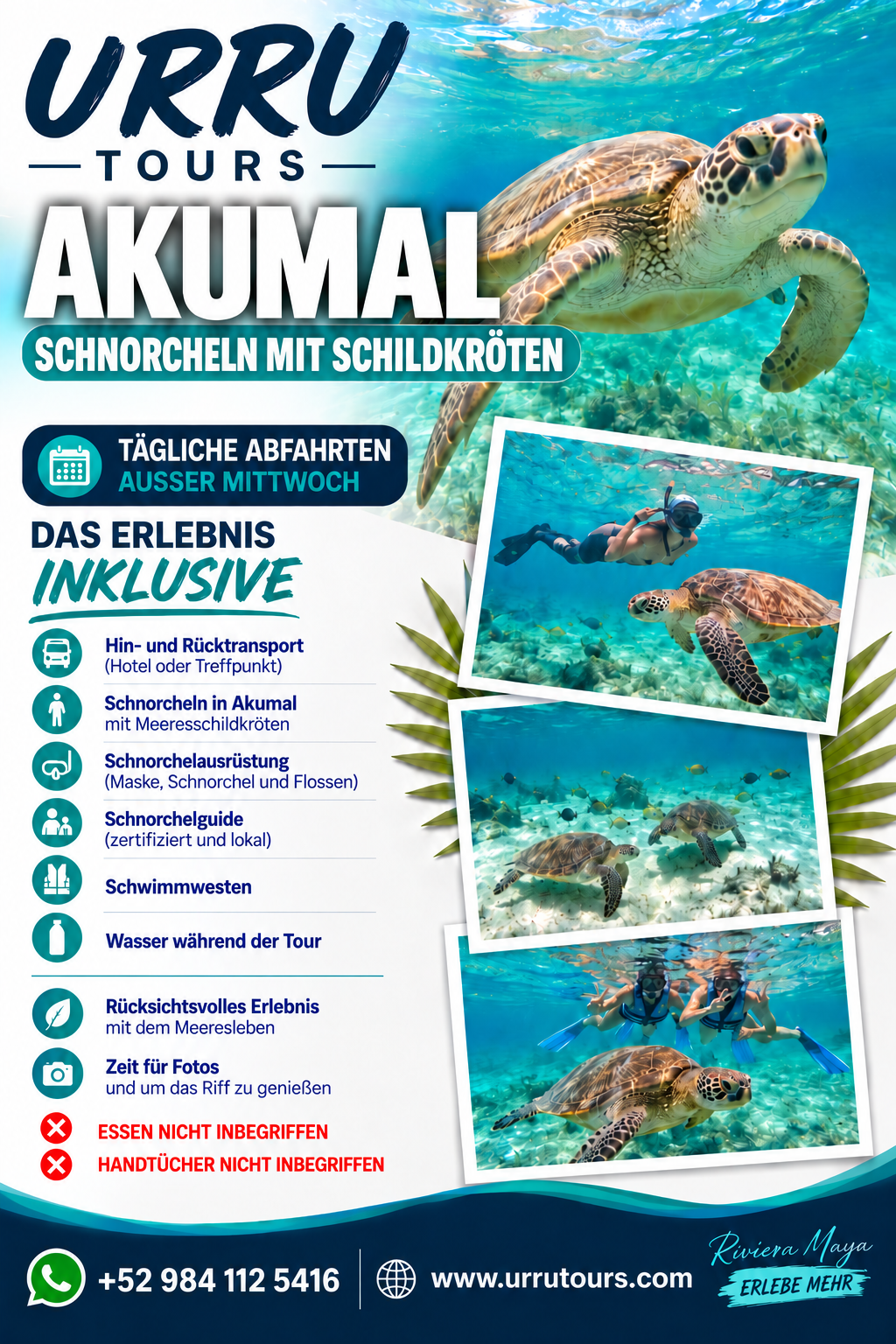 Akumal Schnorcheln mit Schildkröten in Riviera Maya - Deutsch