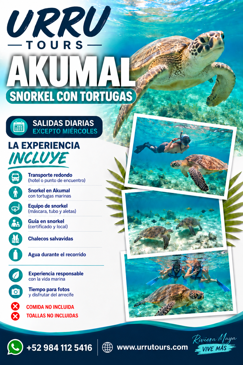 Akumal snorkel con tortugas en Riviera Maya - español
