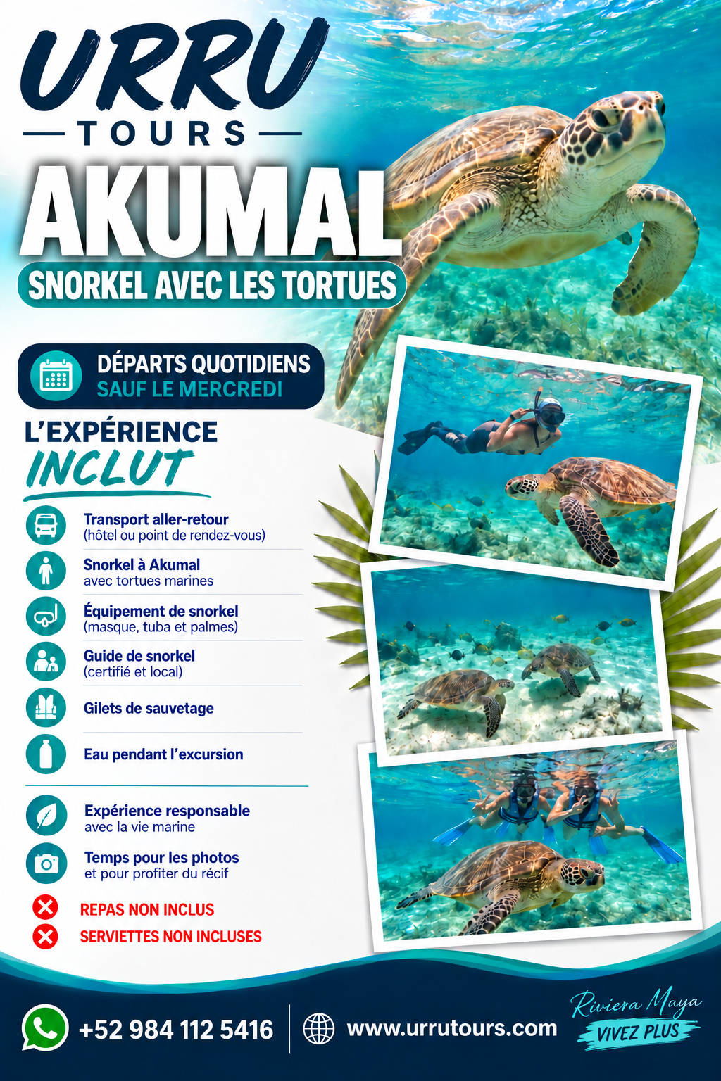 Akumal snorkeling avec les tortues en Riviera Maya - français