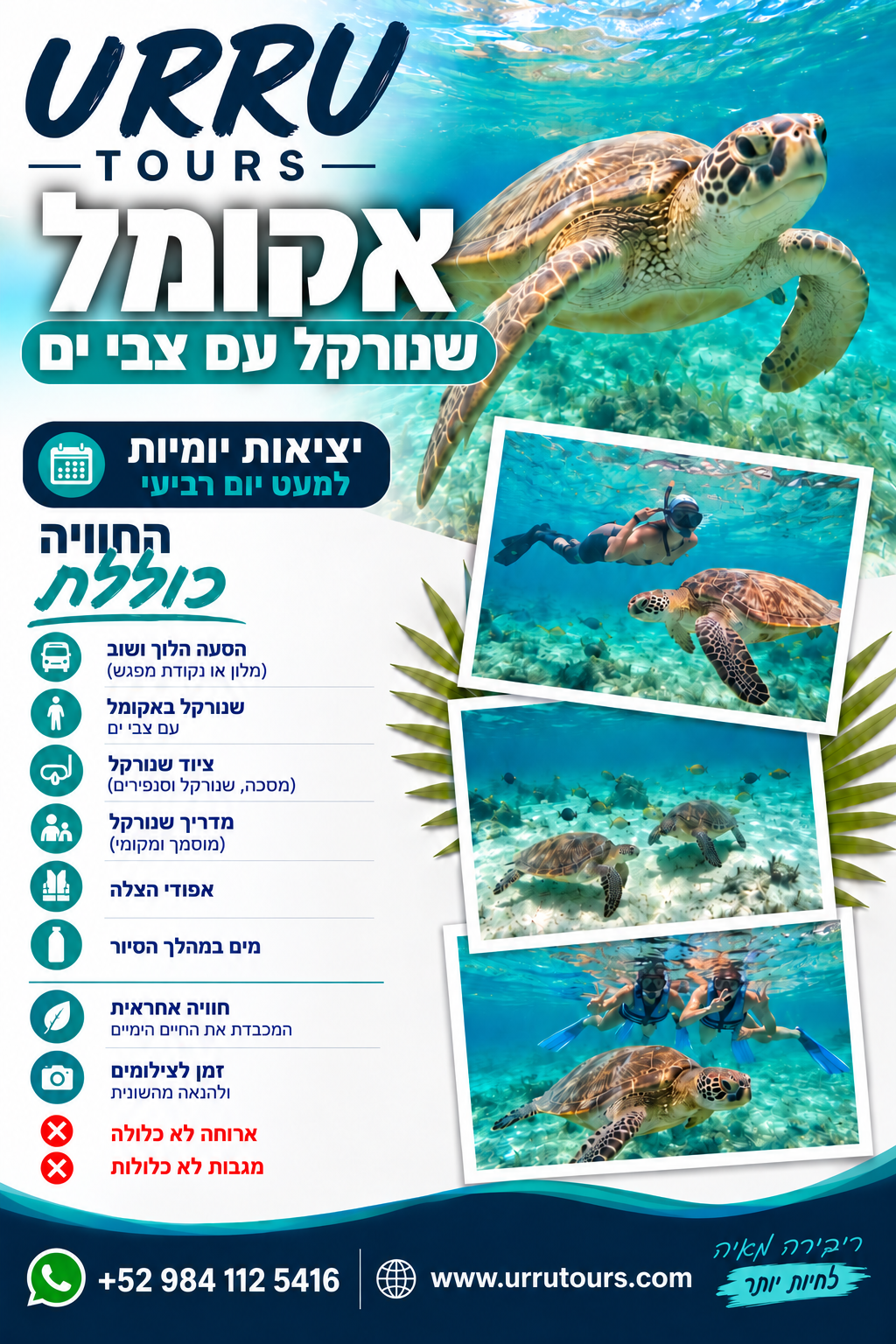 Akumal snorkeling with sea turtles in Riviera Maya - Hebrew