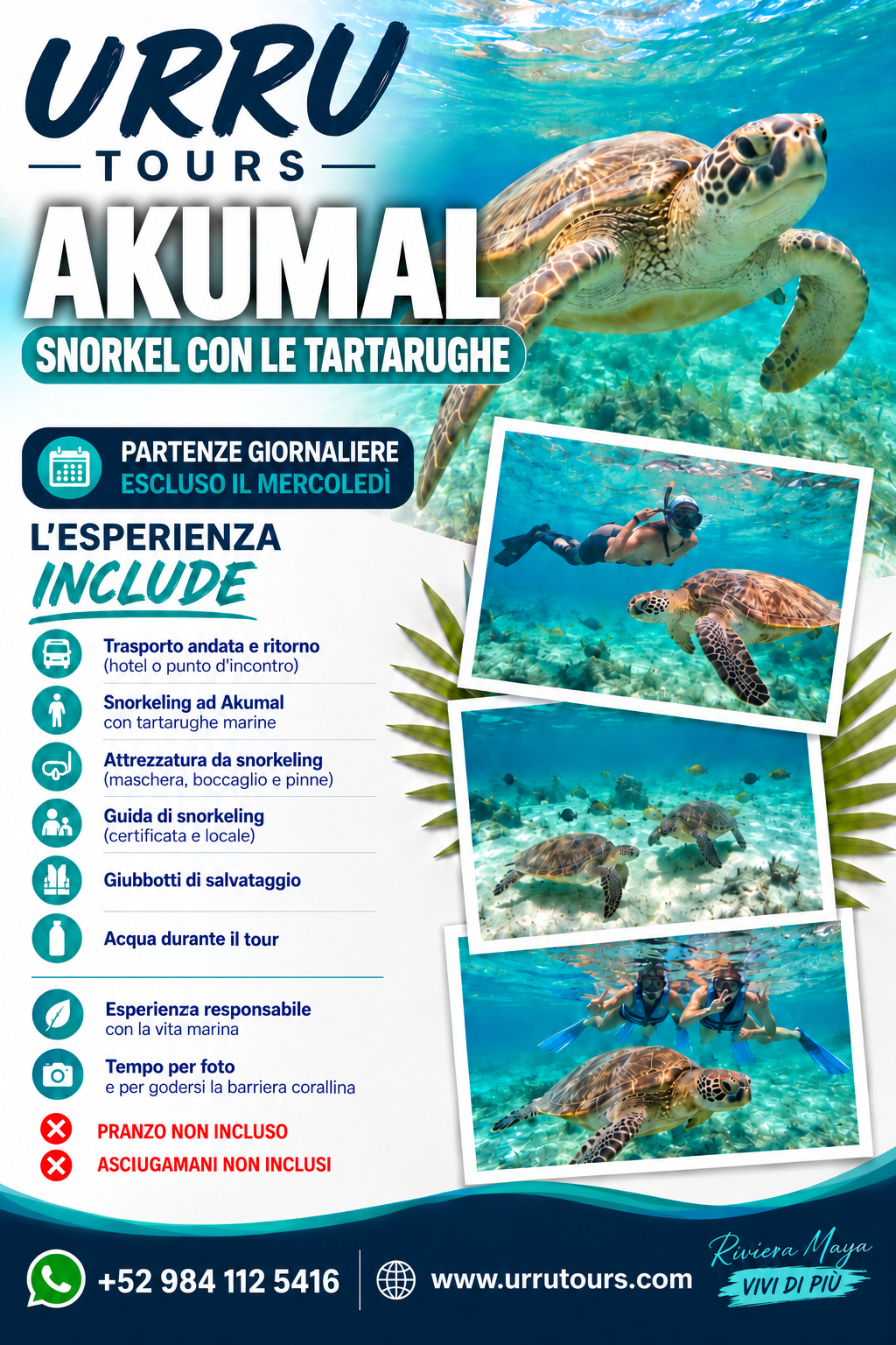 Akumal snorkel con le tartarughe in Riviera Maya - italiano