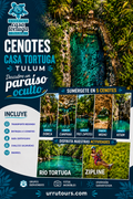 Cenotes Casa Tortuga desde Playa del Carmen: cinco cenotes y Río Tortuga