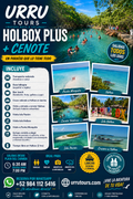Tour Holbox Plus con cenote Yalahau desde Riviera Maya - español